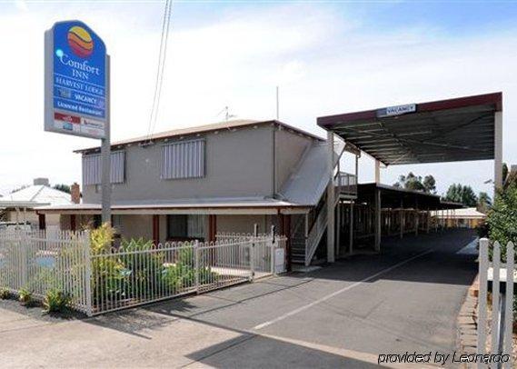 Hotel Harvest -